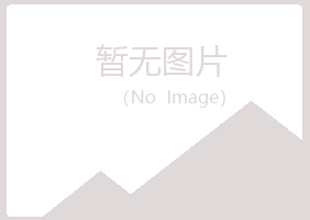 柳城县山柳零售有限公司